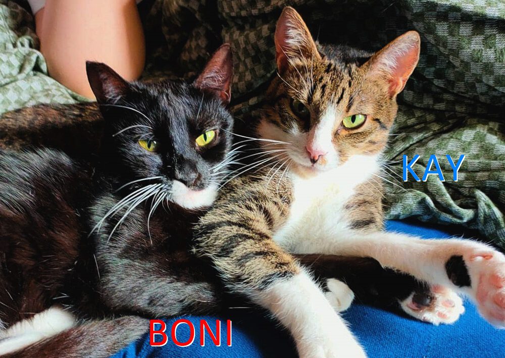 Boni und Kay FB