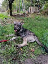 Arto_12