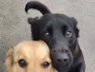 Baila_4