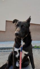 Bruno_7