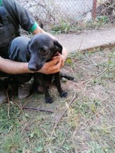 262427936_1875297825987972_7949827804733399961_n