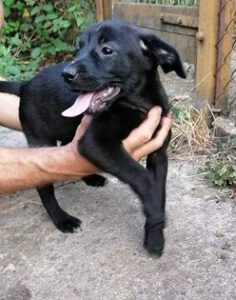 262685405_1875297365988018_6787747204713685854_n