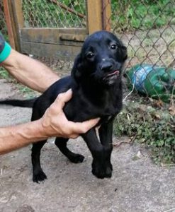 262685405_1875297722654649_3551380601611122894_n