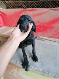 262693879_10220318512849251_1706807208112389998_n