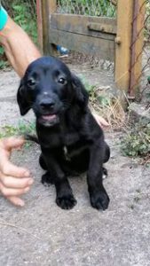 263983113_1875297075988047_3891702380830341555_n