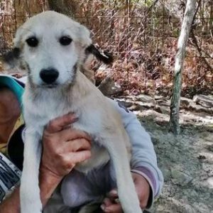 263045790_1875320955985659_4399479077725824446_n