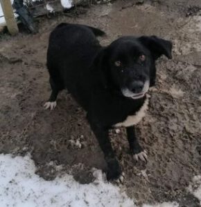 273350995_1926996794151408_134117790113437050_n