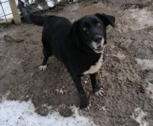 273366572_1926996717484749_8206914616000032106_n