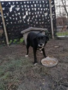 273388990_1926997500818004_7898084113354193044_n