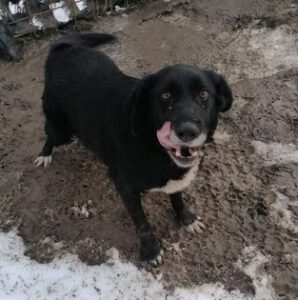 273397092_1926997407484680_9079182078354649607_n