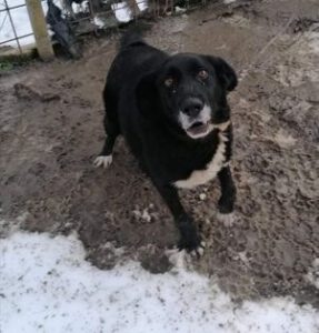 273469744_1926997294151358_4940755410915417480_n