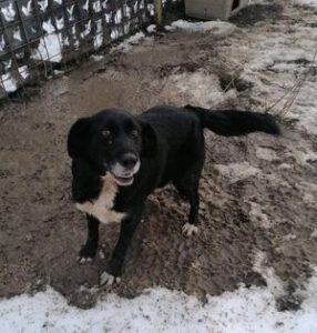 273486980_1926997064151381_4971491256581981917_n