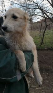 276048710_1967016513482769_6396806888679171830_n