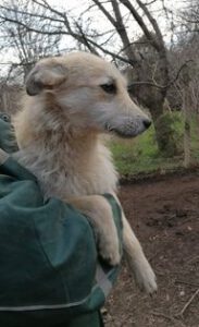 277144051_1967016836816070_546112806131900115_n