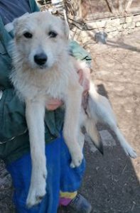 277217368_1967015856816168_812321308309813940_n