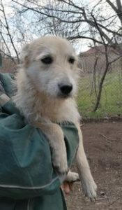 277224412_1967016236816130_3019697984293572757_n