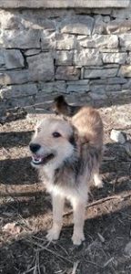 311066214_2125043307680088_4283403327259664562_n