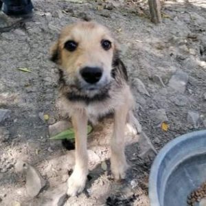 311352478_2125044024346683_2610192987141207067_n