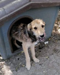 311355636_2125044171013335_1728972457891883729_n