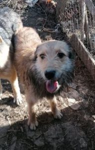 311368747_2125043204346765_8390430949438028985_n