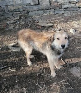 311384577_2125043801013372_4090391974293504501_n