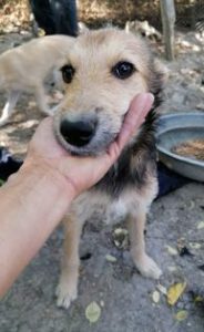 311410730_2125043724346713_1509978056351072952_n