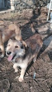 311412600_2125043127680106_9018932648380514533_n