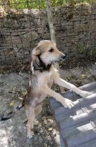 311426604_2125044251013327_2724777910595826921_n