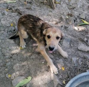 311431717_2125043507680068_5096772075868616570_n