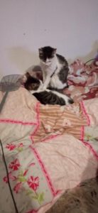 Feli und Luna3
