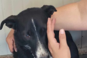Lucie_sep21