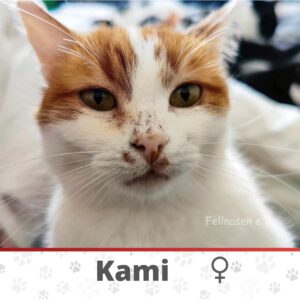 Kami062407959253189_7598528939191099178_n