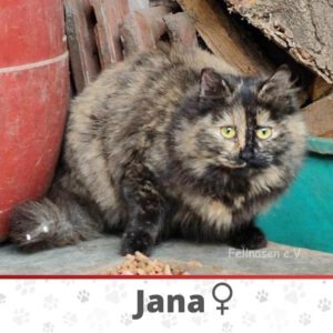 Jana