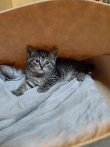 490533894_1337662334010728_6033292347624361104_n