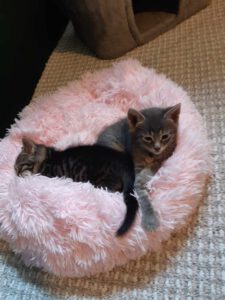 490976509_1181023497051260_886422978297318584_n