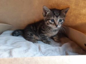 490983601_2133864950407959_7394374007326749984_n