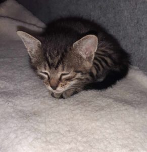 490992574_2117238588781908_2648779024882517645_n