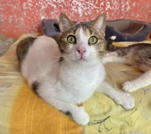 494570785_1190095832444126_1774114896518197601_n