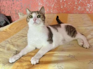 494574161_1484048212429548_7758383606263780883_n