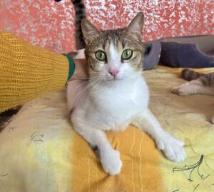 494574628_1760020591576268_1159329606353914346_n