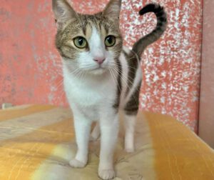 494575342_1059632972748295_7994547899270445711_n