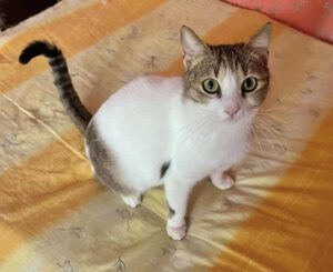 494575366_1245432380424320_9036620104711994624_n