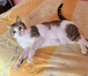 494576170_2068651270212804_4434182925676301357_n