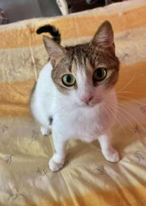 494577120_1806365199910739_6517757557247643113_n