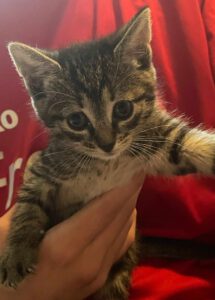 494815172_682714197844793_4711373123537034586_n