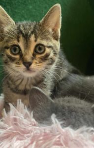 494820628_682103291429322_4059393120066151736_n