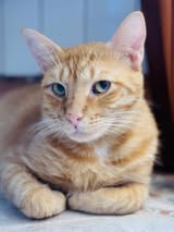 Neron_01.11.2022
