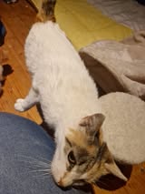 Ayla_Geb.unbekannt