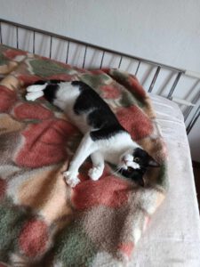 TOTI_01.06.2024