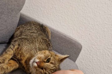 MARINA_08_2023